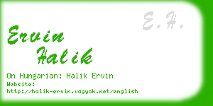 ervin halik business card